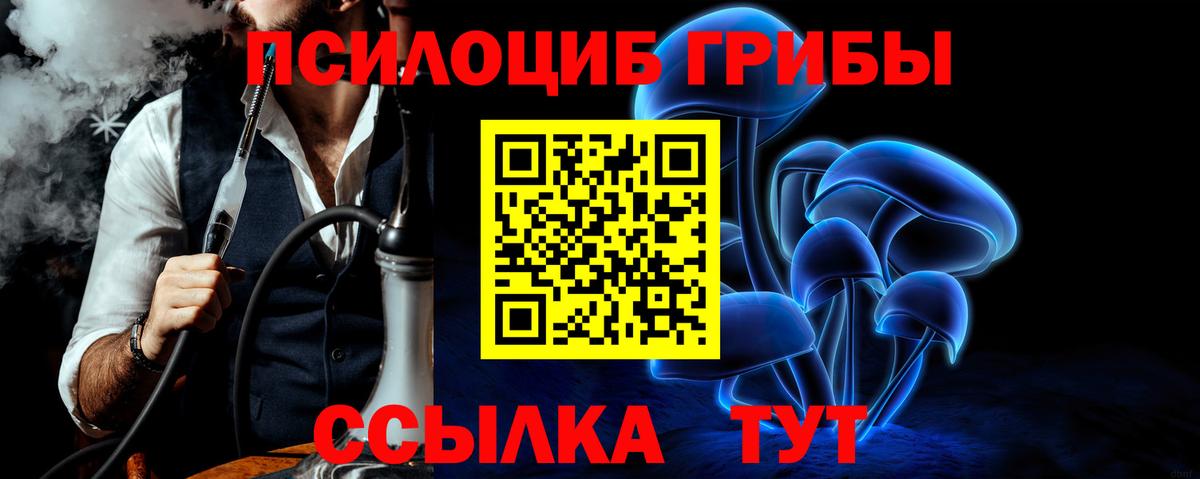 Галлюциногенные грибы прущие грибы Советск